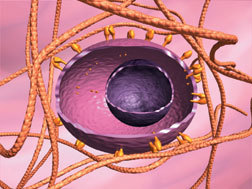 Molecular Biology