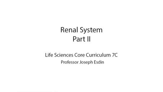 Week 6 Renal System Part II J Esdin