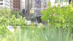 East River Waterfront: Rainwater Harvesting