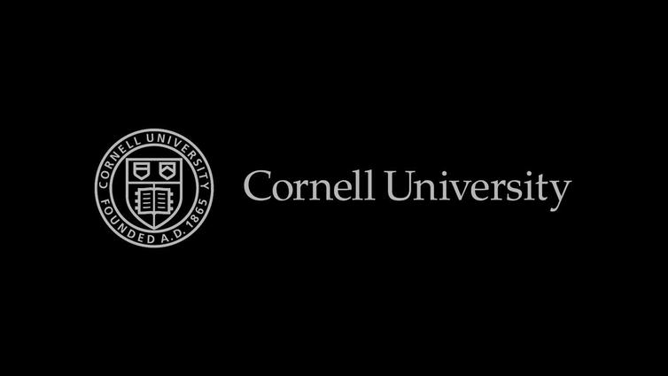 Cornell mba essay 2013