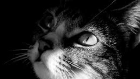 Thumbnail for PhotoU2_3.jpg