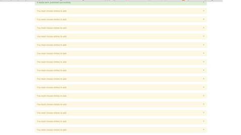 Thumbnail for duplicate messages after adding media