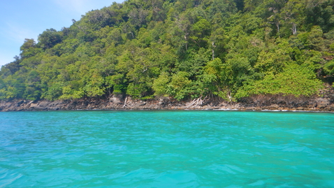 Thumbnail for DSCN6581.JPG