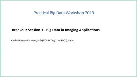 Thumbnail for entry Breakout Session 3 Summary- Big Data in Imaging Applications