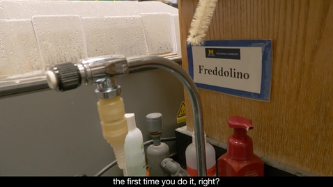 Thumbnail for Discovery Journey