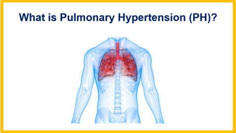 Thumbnail for Chapter 1: What is Pulmonary Hypertension?