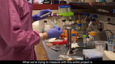 Thumbnail for Measurements