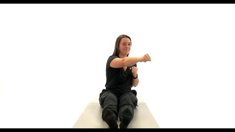 Thumbnail for Seated Arm Punches