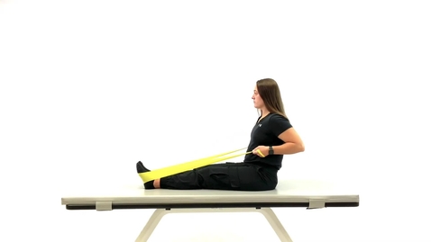 Thumbnail for Seated Back Row (with Theraband)
