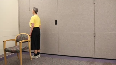 Thumbnail for Gait - Tandem Backward