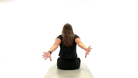 Thumbnail for Seated Back Fly