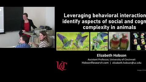 Thumbnail for Elizabeth Hobson | Leveraging behavioral interactions to identify aspects of social and cognitive complexity in animals | January 25, 2024