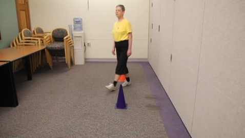 Thumbnail for Gait - Figure 8