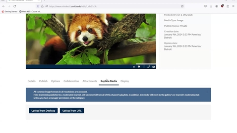 Thumbnail for How to Replace Media in MiVideo