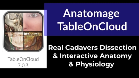 Thumbnail for entry TableOnCloud: Real Cadavers Dissection and Interactive Anatomy &amp; Physiology