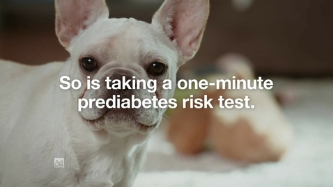 Thumbnail for entry Risk Test Puppies :60 | Type 2 Diabetes Prevention | Ad Council