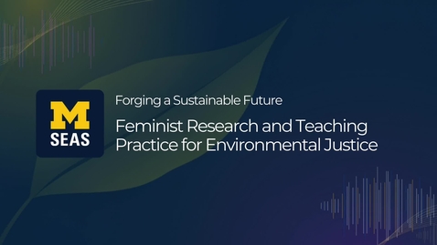 Thumbnail for Feminist Research and Teaching Practice for Environmental Justice