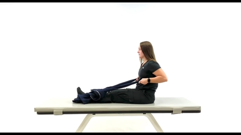 Thumbnail for Seated Back Row (with towel)