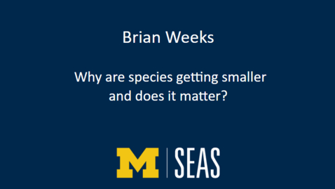 Thumbnail for Brian Weeks: Why are species getting smaller and does it matter?