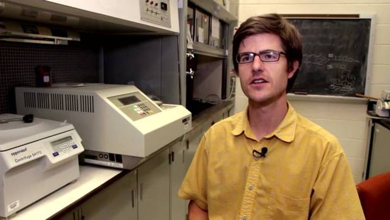 Ecologist—Career Q&A: Professional Advice and Insight