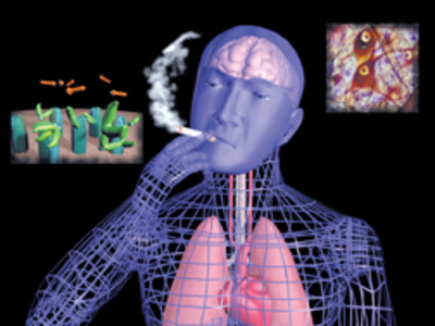 Films Media Group - Animated Neuroscience and the Action of Nicotine,  Cocaine, and Marijuana in the Brain