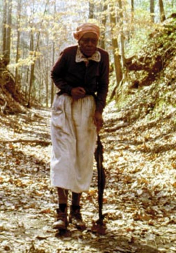 🔥 A worn path by eudora welty setting. Theme of a Worn Path by Eudora