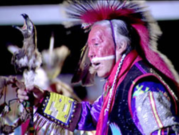 Dancing to the heartbeat of the drum:' U of S powwow hosts hundreds of  dancers