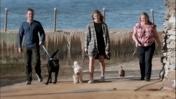 Films Media Group Making Dogs Happy Part 1 Catalyst