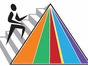 The New Food Pyramid