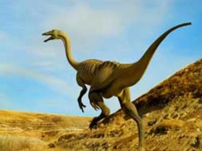 Two-legged dinosaurs may have swung tails to run faster, say scientists, Dinosaurs