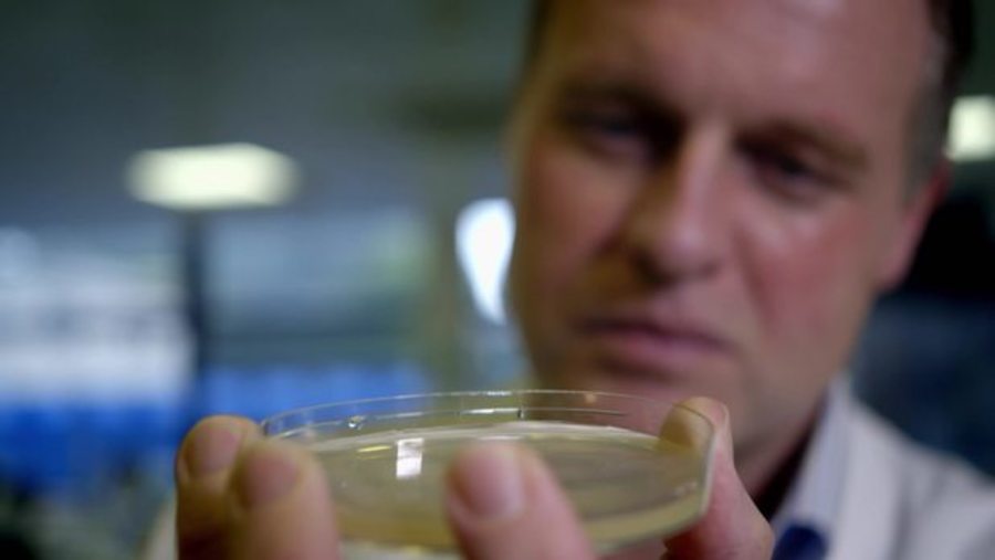 Stop, wash your hands sign