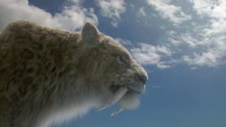 Land Of The Saber Tooth Ice Age Giants Films Media Group
