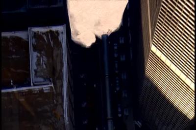 Films Media Group Your Inner Monkey