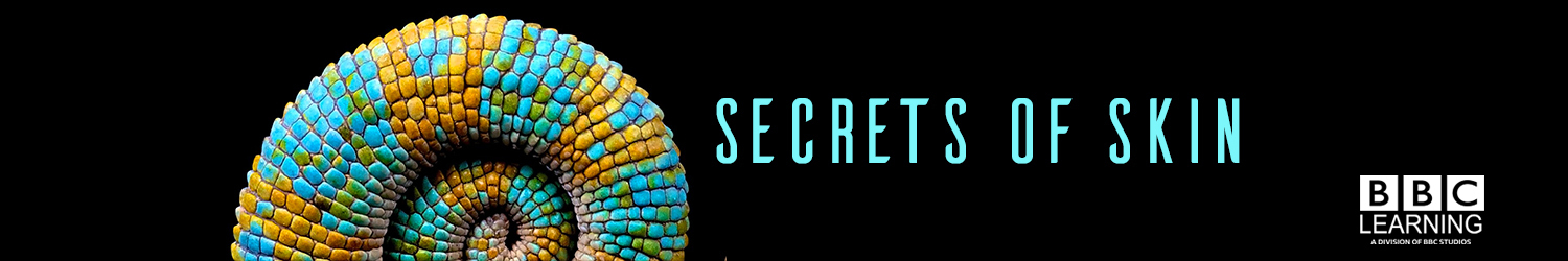 Secrets of Skin