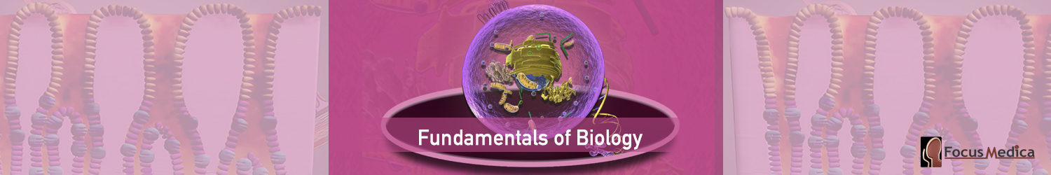 Fundamentals of Biology