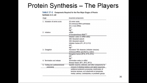 Thumbnail for Protein synthesis 3 out of 3