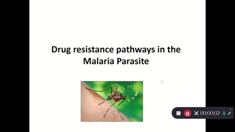 Thumbnail for Research Talk