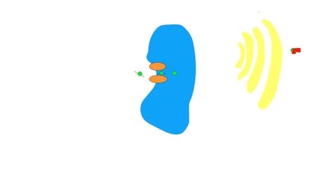 Thumbnail for Zannatul and Daisy MHC-I GOLGI