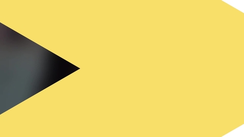 Thumbnail for Central Global Engagement Eszter Orban-Kis