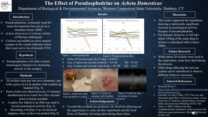 Thumbnail for channel BIO 260 Poster Presentations Spring 2020