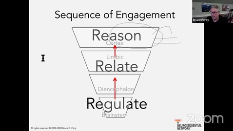 Thumbnail for The Inaugural CCSU: Central to You with Dr. Bruce Perry