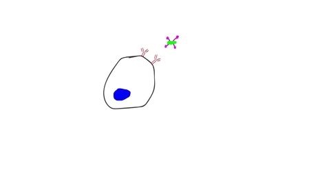 Thumbnail for Matthew-Justin animation