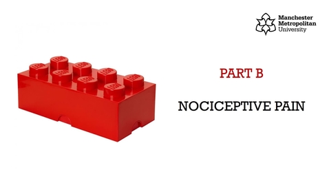 Thumbnail for Lecture B - Pain - Part B
