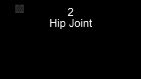 Thumbnail for entry Manual Therapy Hip Joint Passive Physiological Medial Rotation