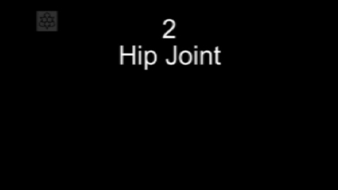 Thumbnail for Manual Therapy Hip Joint Passive Physiological Medial Rotation