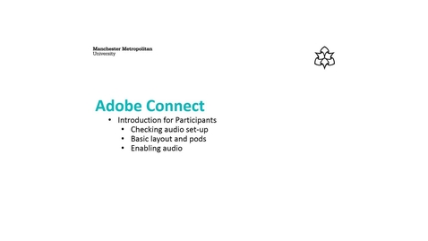 installing the adobe connect desktop app for windows pc laptop mmutube
