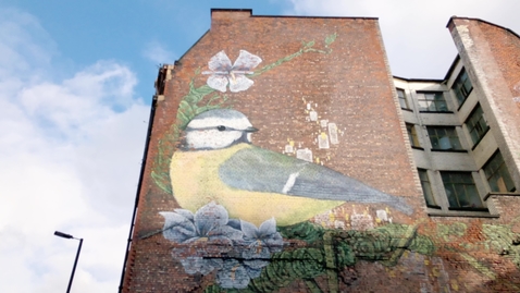 Thumbnail for Joshi Hermann on lockdown in the Northern Quarter