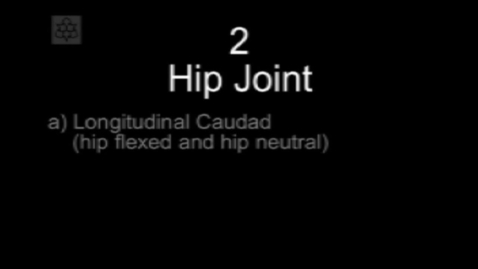 Thumbnail for entry Manual Therapy Hip Joint Longitudinal Caudad