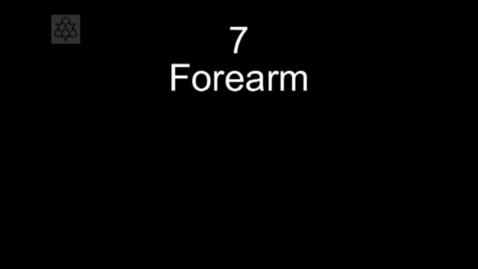 Thumbnail for Manual Therapy Upper Quadrant Forearm 7b  AP and PA