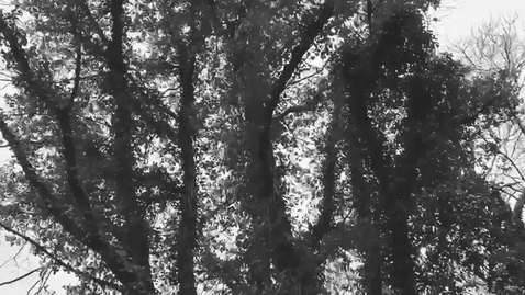 Thumbnail for Undoing - Song from 'Songs of Resilience' project